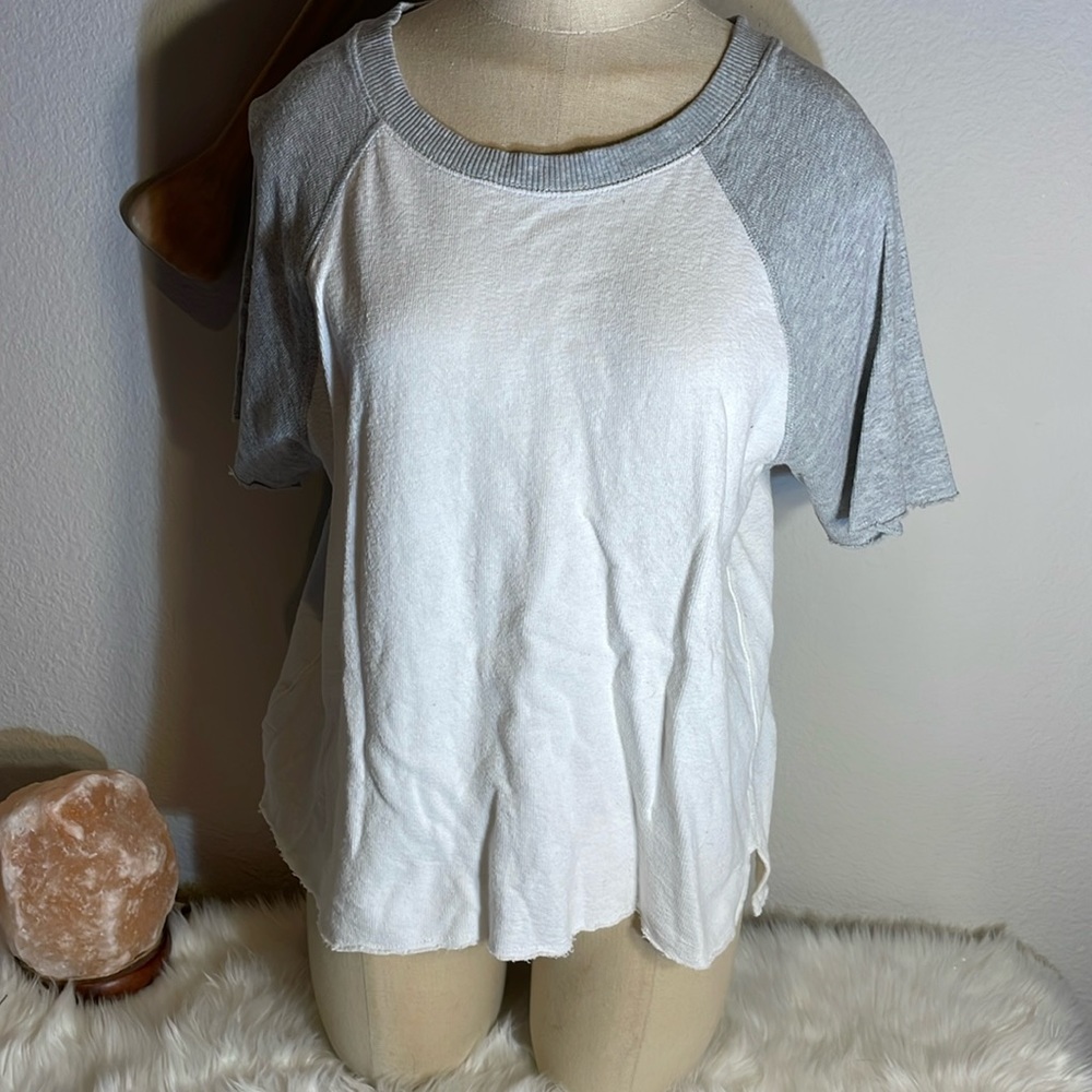 Aerie Gray and White Short Sleeve Tee